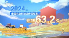 核心决心2024！本年我国粮食产量初次跨越14万