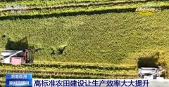 郊野上一派好“丰”光“智能机械+良机良法”提