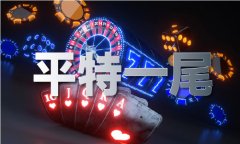 老奇水持码材料2019_老奇水持码材料2019V5