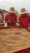 <b>超1800斤！阜阳一小麦示范田单产记载再刷新</b>